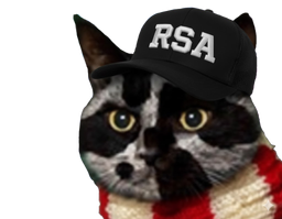 :Chat-Triss-RSA: