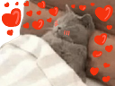 :chadormucholov: