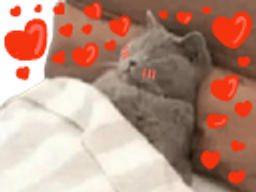 :chadormucholov: