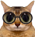 :chatde_lunettes:
