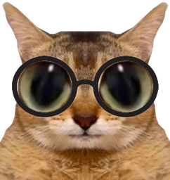 :chatde_lunettes: