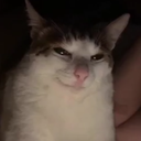 Perker