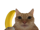 :ChatBanane: