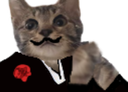 :Chaton_mafia: