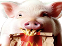 :pigfries: