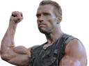 :stop_rassemblement_arnold: