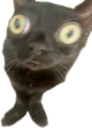 :CroquettePoisson: