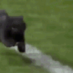 :chatmessi: