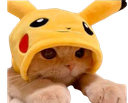 :Chat_pikachu: