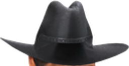 :ipahc: