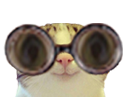 :Marrant_lunettes3: