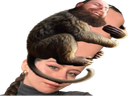 :AliceBenchAndMonkey: