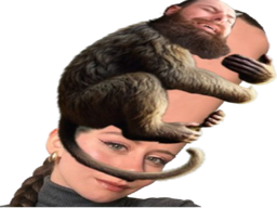 :AliceBenchAndMonkey: