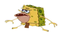 :FEMELLE: