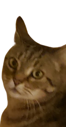 :Chatmarlou: