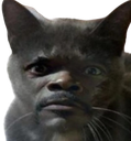 :Chamueleejackson: