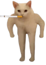 :human_cat_fumeur: