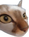 :chatkhey2: