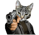 :Cattogun2: