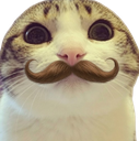 :chat_marrant_moustache2: