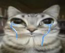 :Chattrauma: