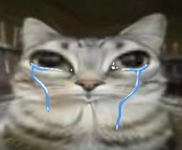 :Chattrauma: