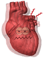 :Stress_coeur: