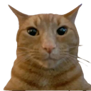 :chat_ecoute: