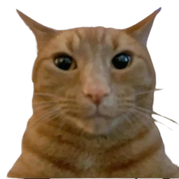 :chat_ecoute: