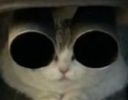 :Chat_pot_RedPill: