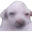 Photo de profil de Todd