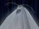 :cafard_nuit: