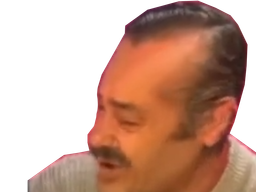 :risitasheureux1:
