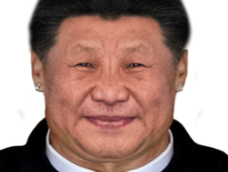 :jinping: