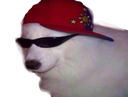 :ENTTEN: