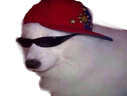 :ENTTEN: