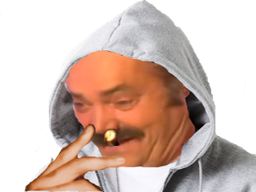 :Hoodie: