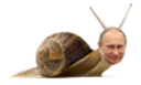 :poutine_escargot: