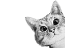 :lurkcat: