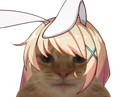 :Chat_Rumi: