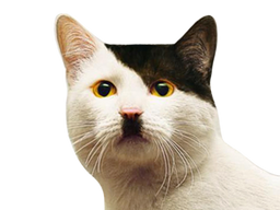 :chatdolf:
