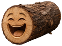 :Buche_rigole: