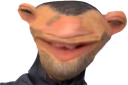 :algerien_du_chaos: