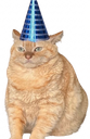 :Chat_fiesta: