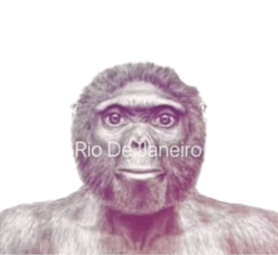 :Singe_rio: