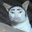 Photo de profil de Pinz