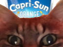 :chaprisun: