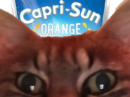 :chaprisun: