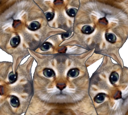:multicha: