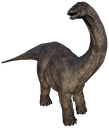 :Apatosaurus: